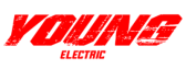 youngelectricbikes.com
